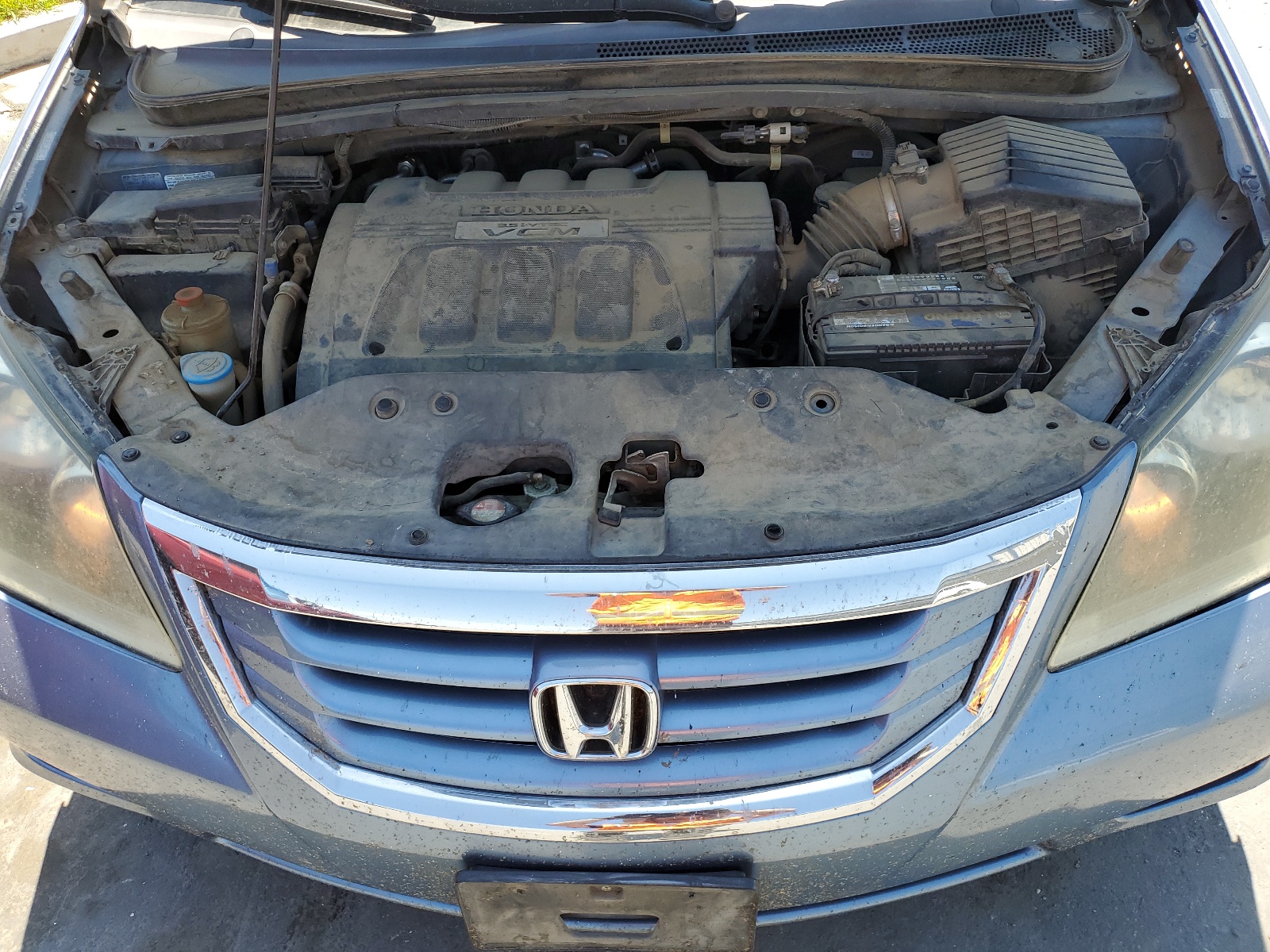 5FNRL38789B007973 2009 Honda Odyssey Exl