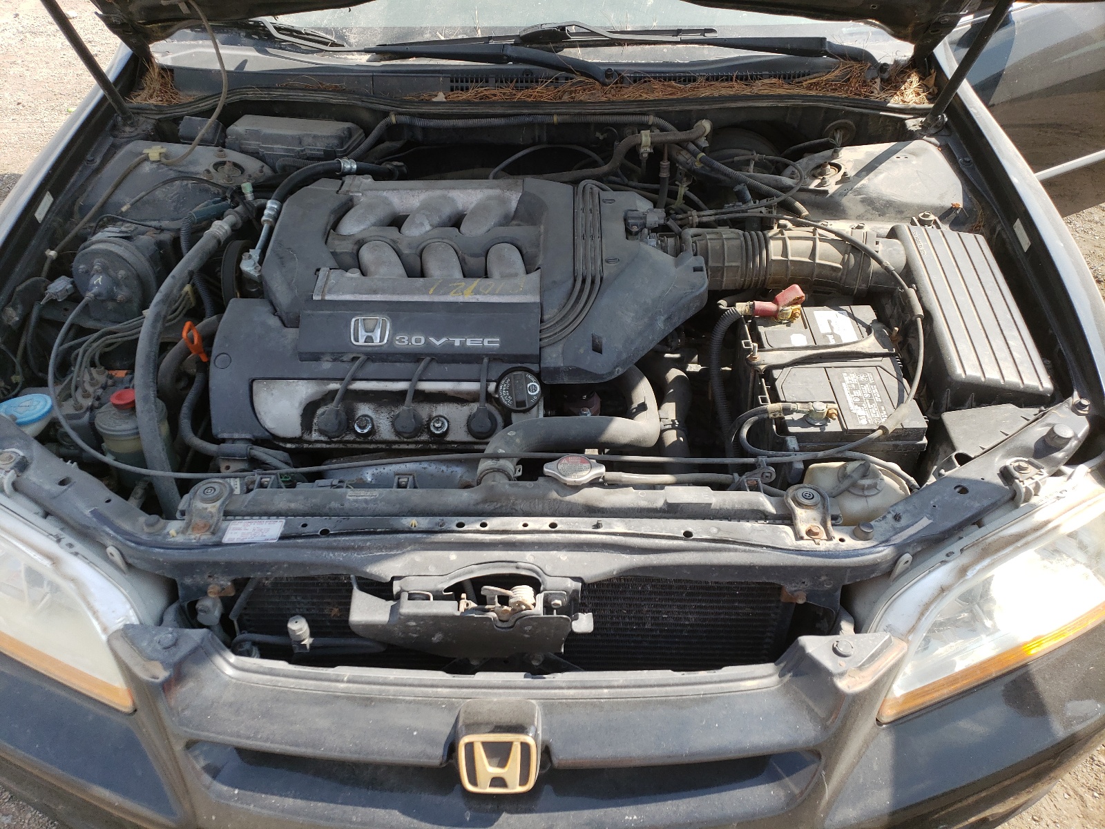 1HGCG1648XA026733 1999 Honda Accord Lx