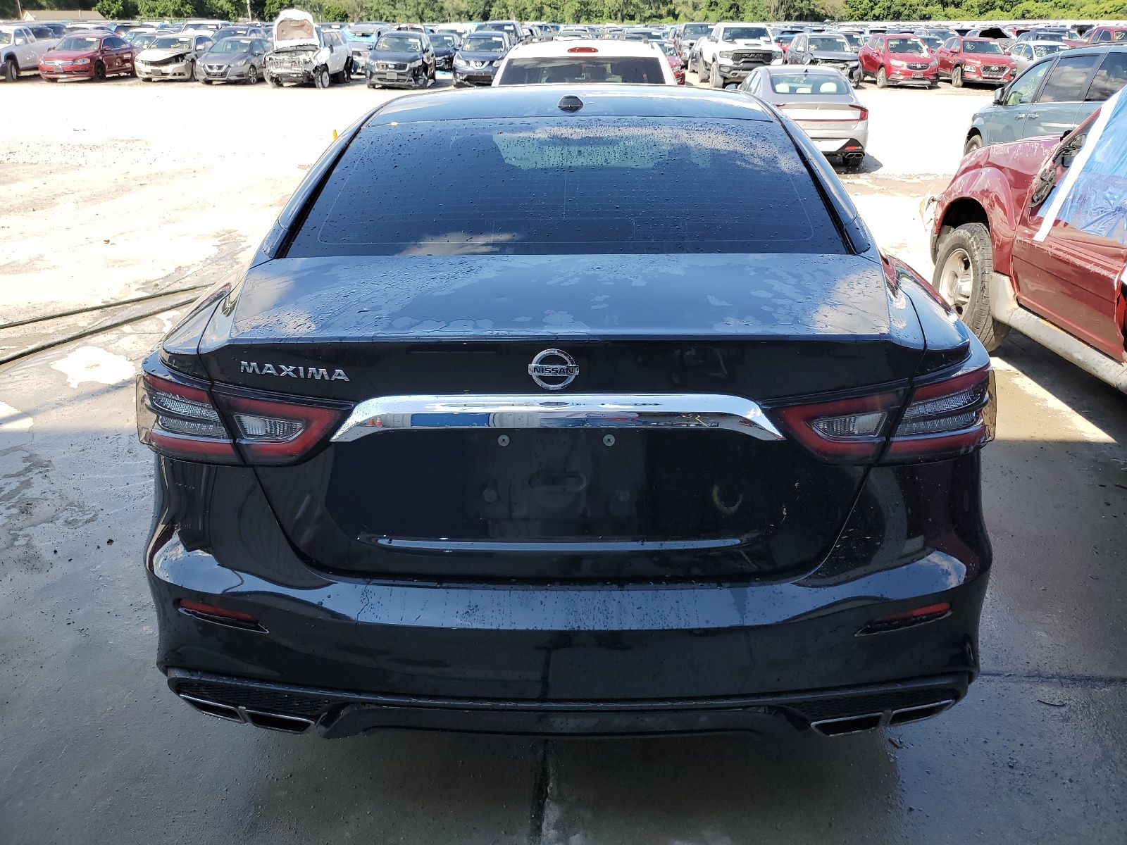 1N4AA6AV9KC374693 2019 Nissan Maxima S