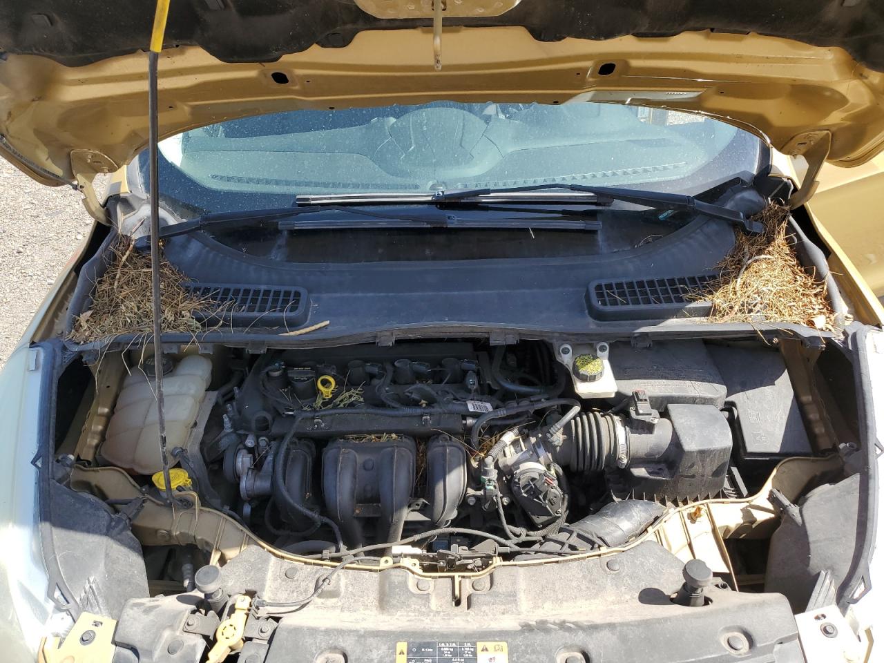 2015 Ford Escape S VIN: 1FMCU0F78FUA41821 Lot: 61834844