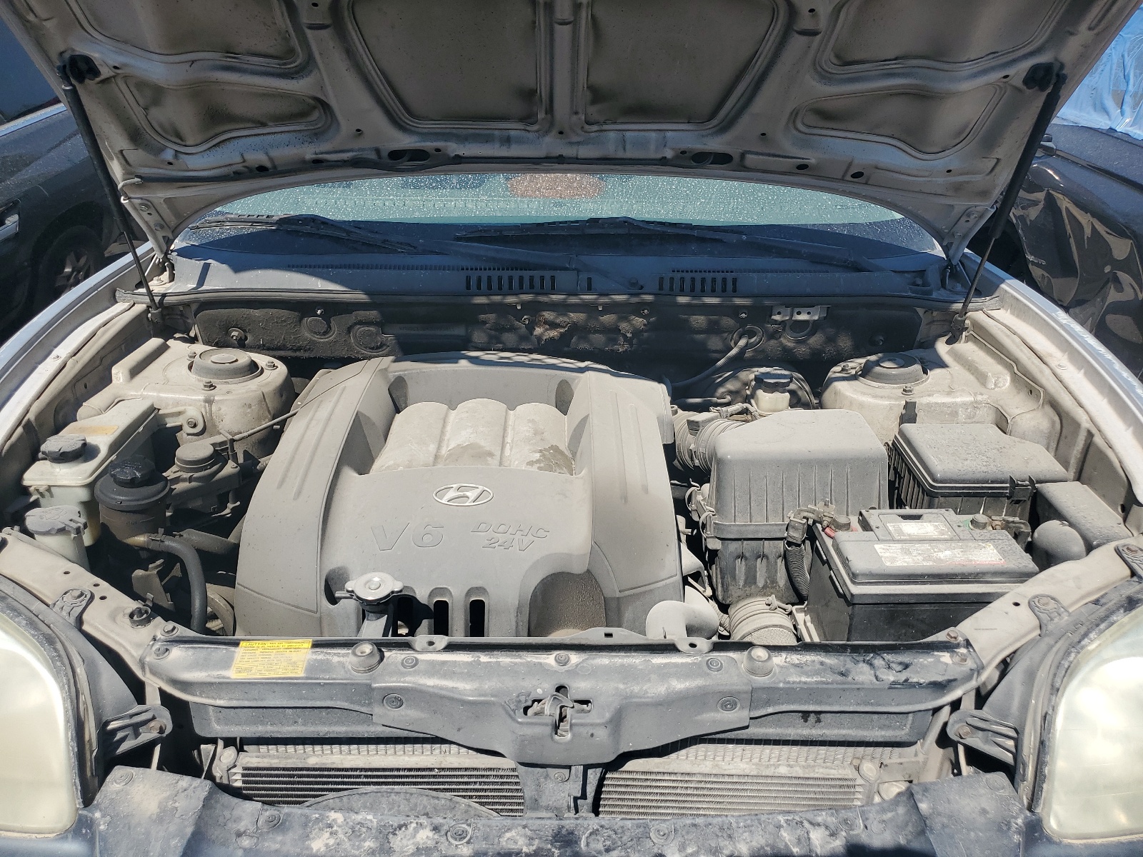 KM8SC13D43U493811 2003 Hyundai Santa Fe Gls