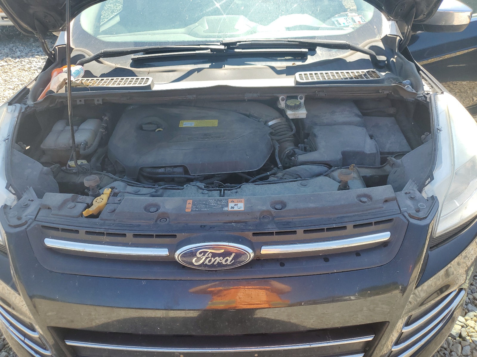 1FMCU9GX6EUC04175 2014 Ford Escape Se