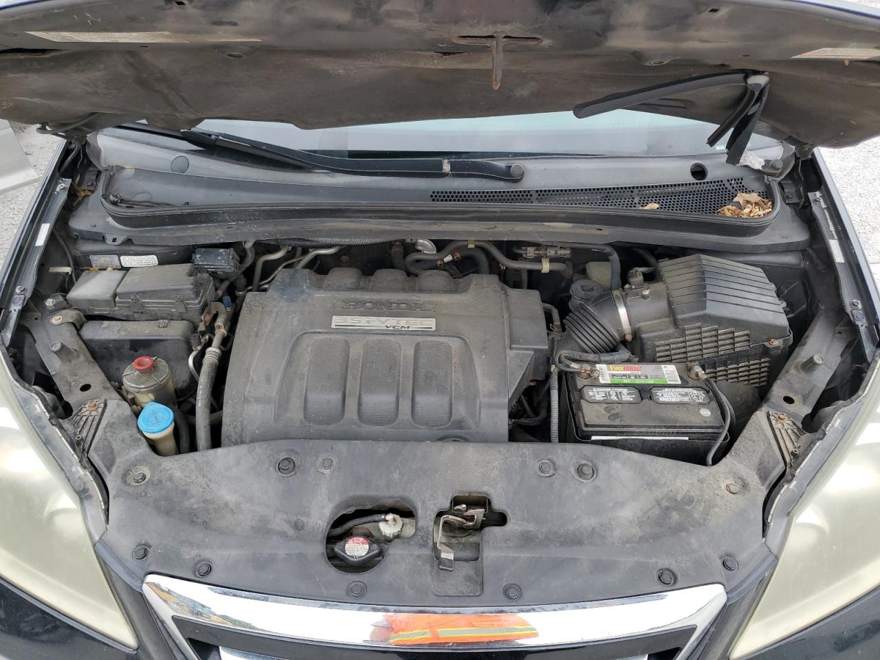 2007 Honda Odyssey Exl VIN: 5FNRL38637B125367 Lot: 62116174