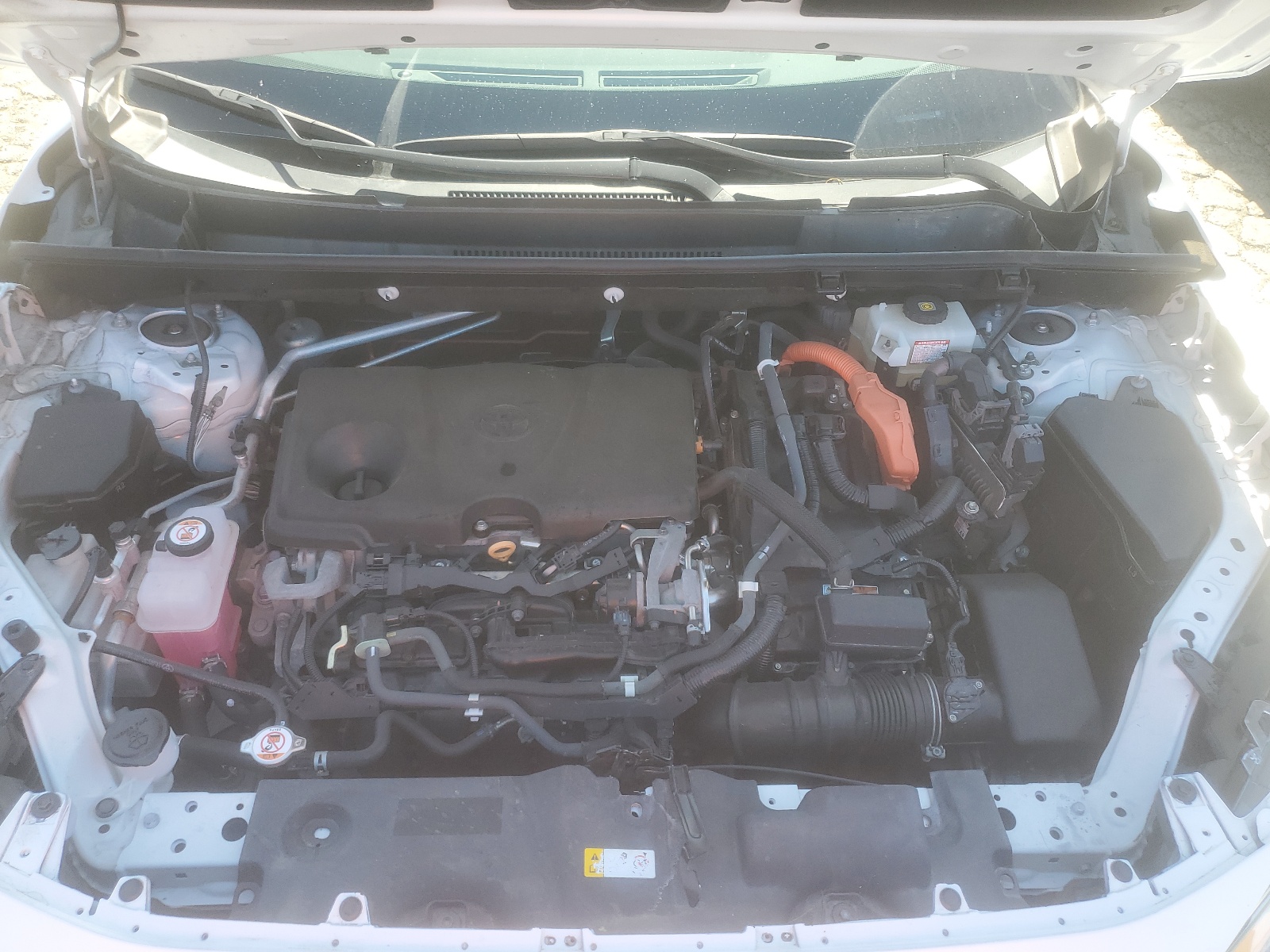 2T3RWRFV9LW066219 2020 Toyota Rav4 Xle