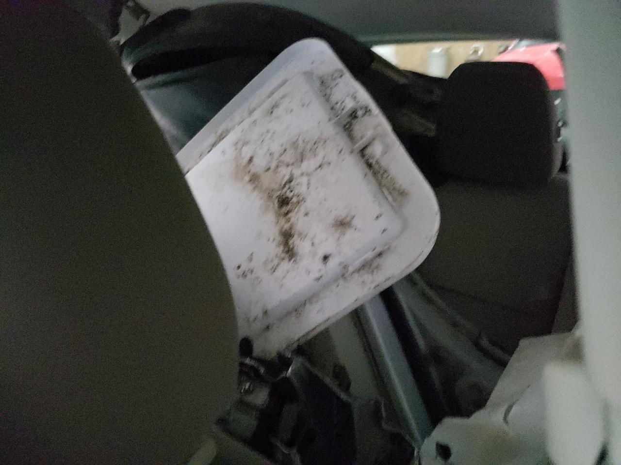 2014 Ford Escape Se VIN: 1FMCU0G91EUB60972 Lot: 63785274