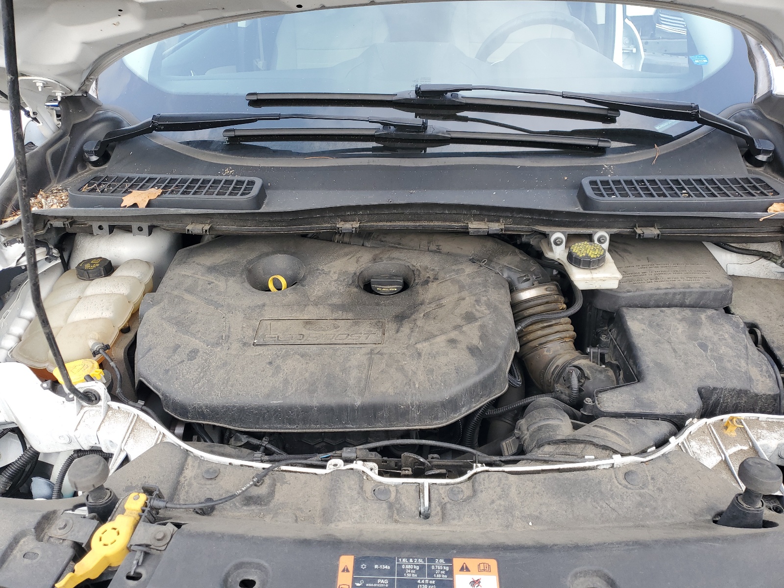 1FMCU9G98FUB76916 2015 Ford Escape Se