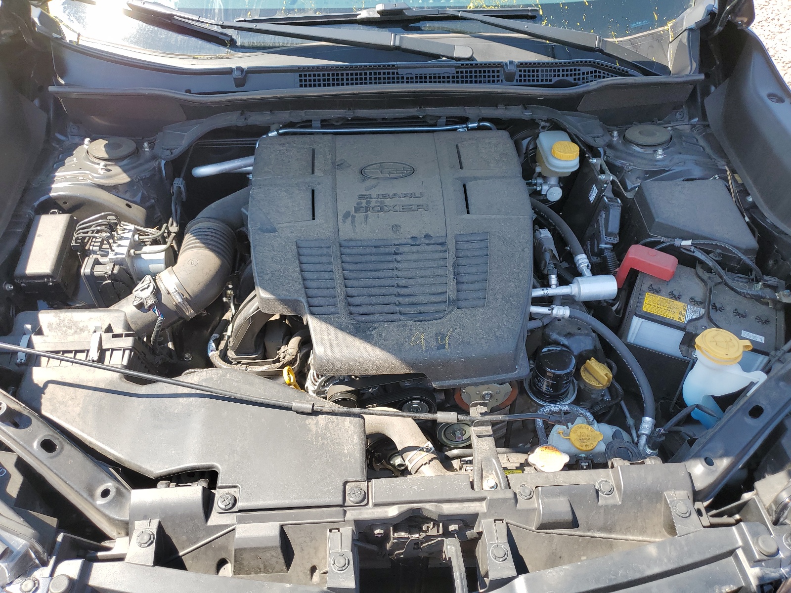 JF2SKAGC3KH553823 2019 Subaru Forester Premium