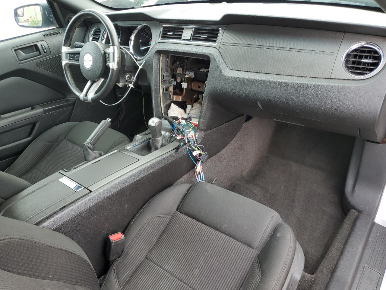 2013 Ford Mustang VIN: 1ZVBP8AM3D5254571 Lot: 64189804
