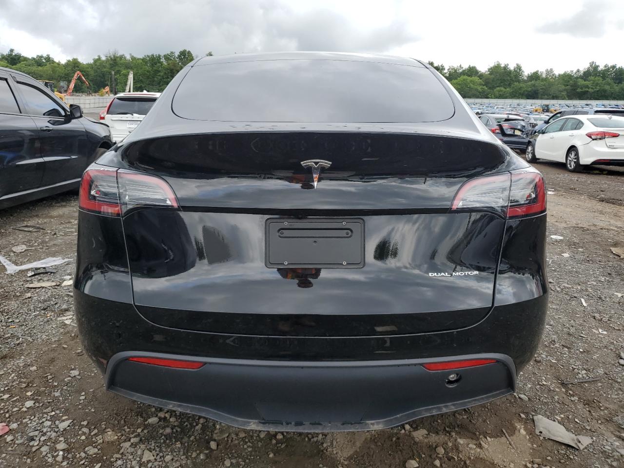2023 Tesla Model Y VIN: 7SAYGDEE3PF874920 Lot: 61895544