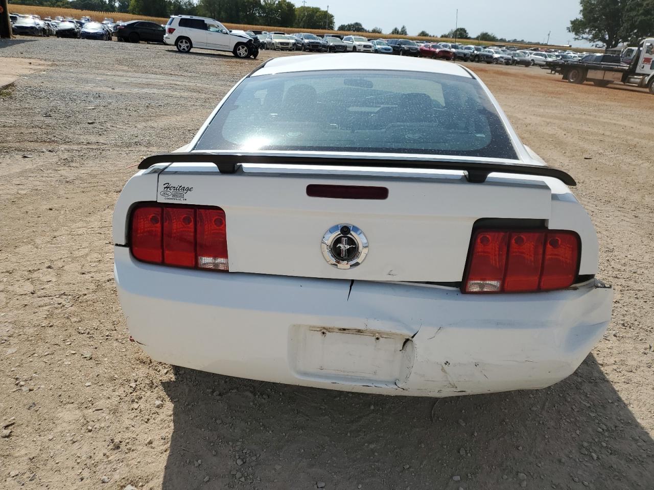 2006 Ford Mustang VIN: 1ZVFT80N165227184 Lot: 49333245