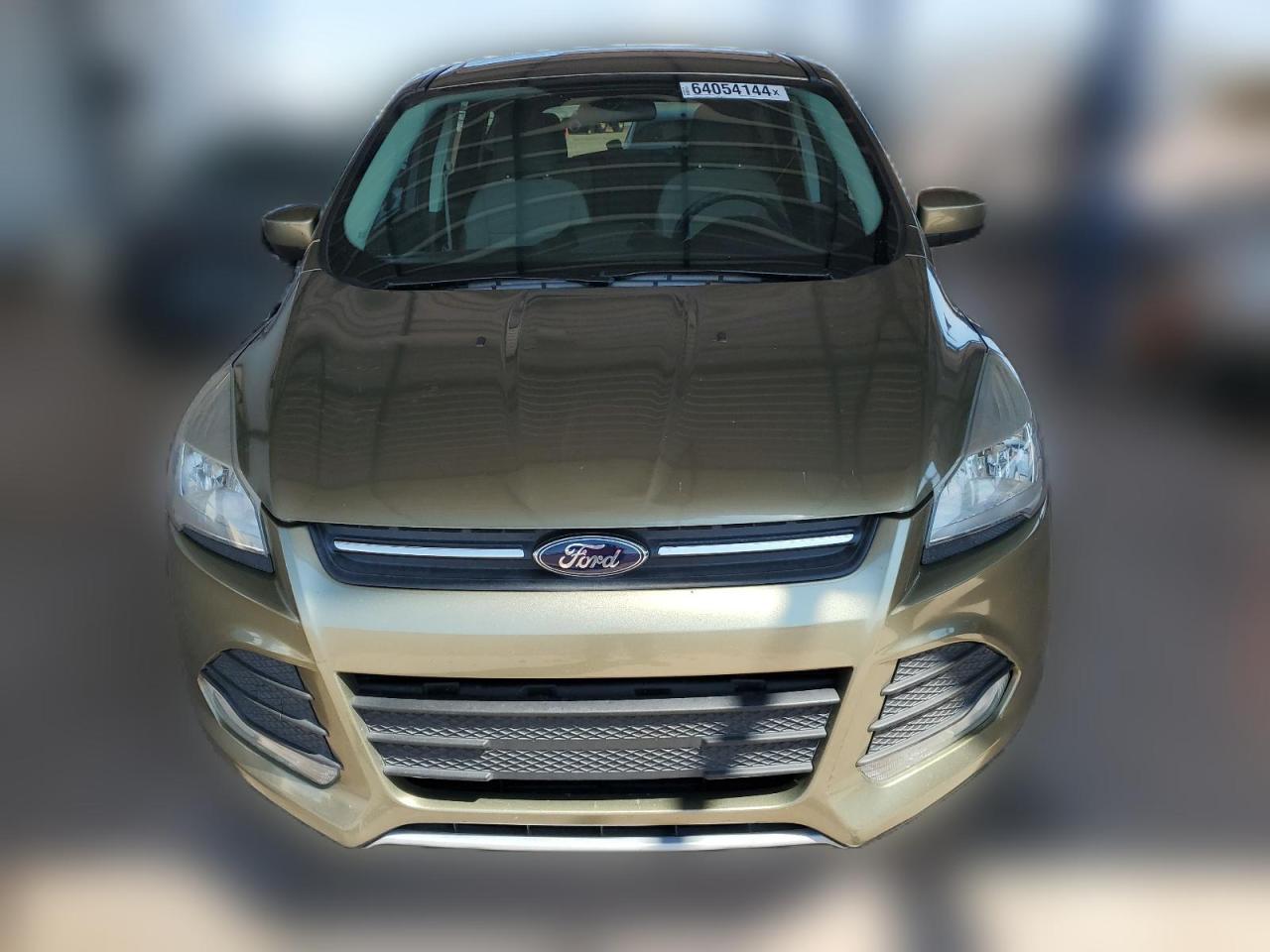 2013 Ford Escape Se VIN: 1FMCU0GX9DUC46415 Lot: 64054144