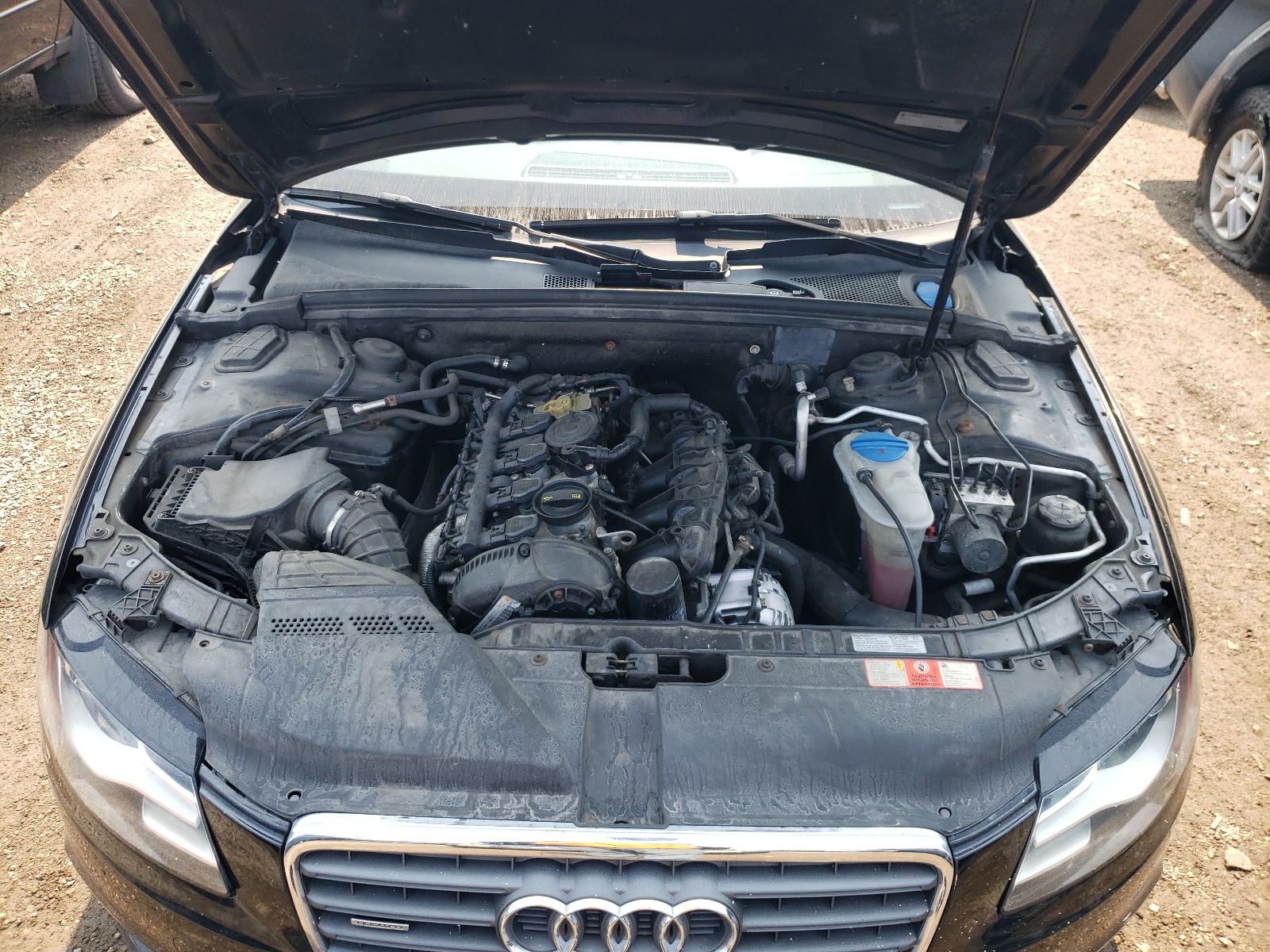 WAUHFAFL5AN029553 2010 Audi A4 Premium Plus