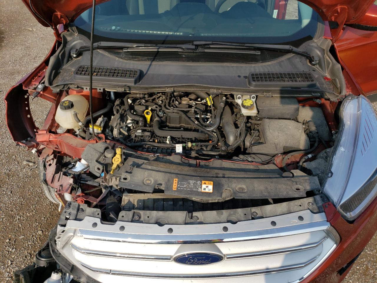 2019 Ford Escape Se VIN: 1FMCU0GD7KUB40211 Lot: 64019974