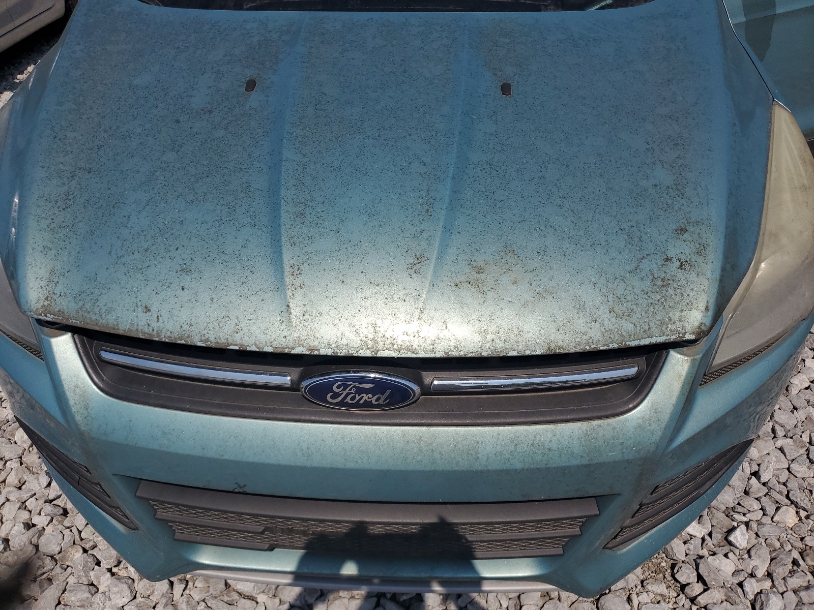 2013 Ford Escape Se vin: 1FMCU0GX0DUD17050