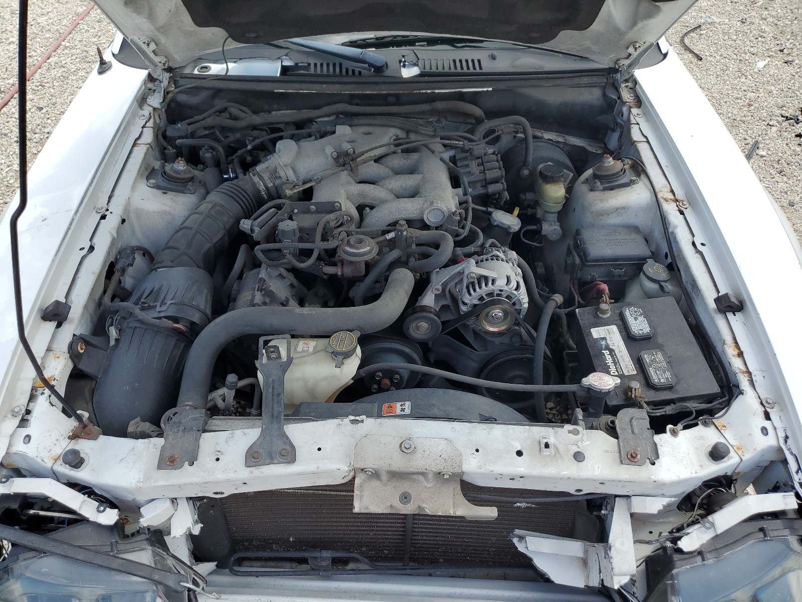 1FAFP44443F362317 2003 Ford Mustang