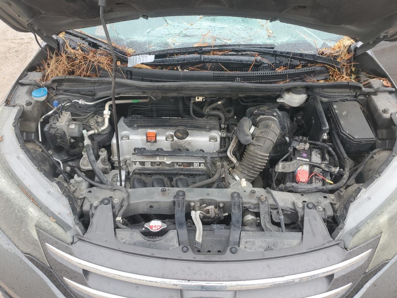 2014 Honda Cr-V Exl VIN: 2HKRM3H74EH553162 Lot: 63850564