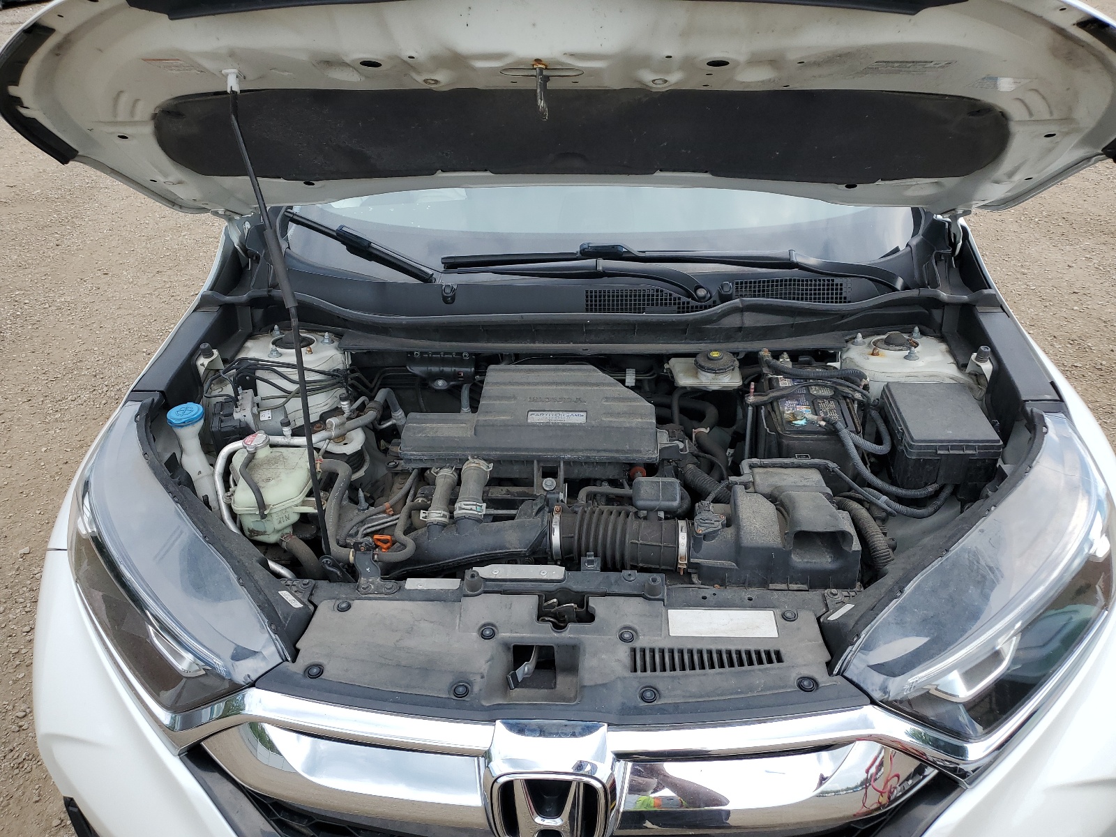 2HKRW2H81KH631583 2019 Honda Cr-V Exl