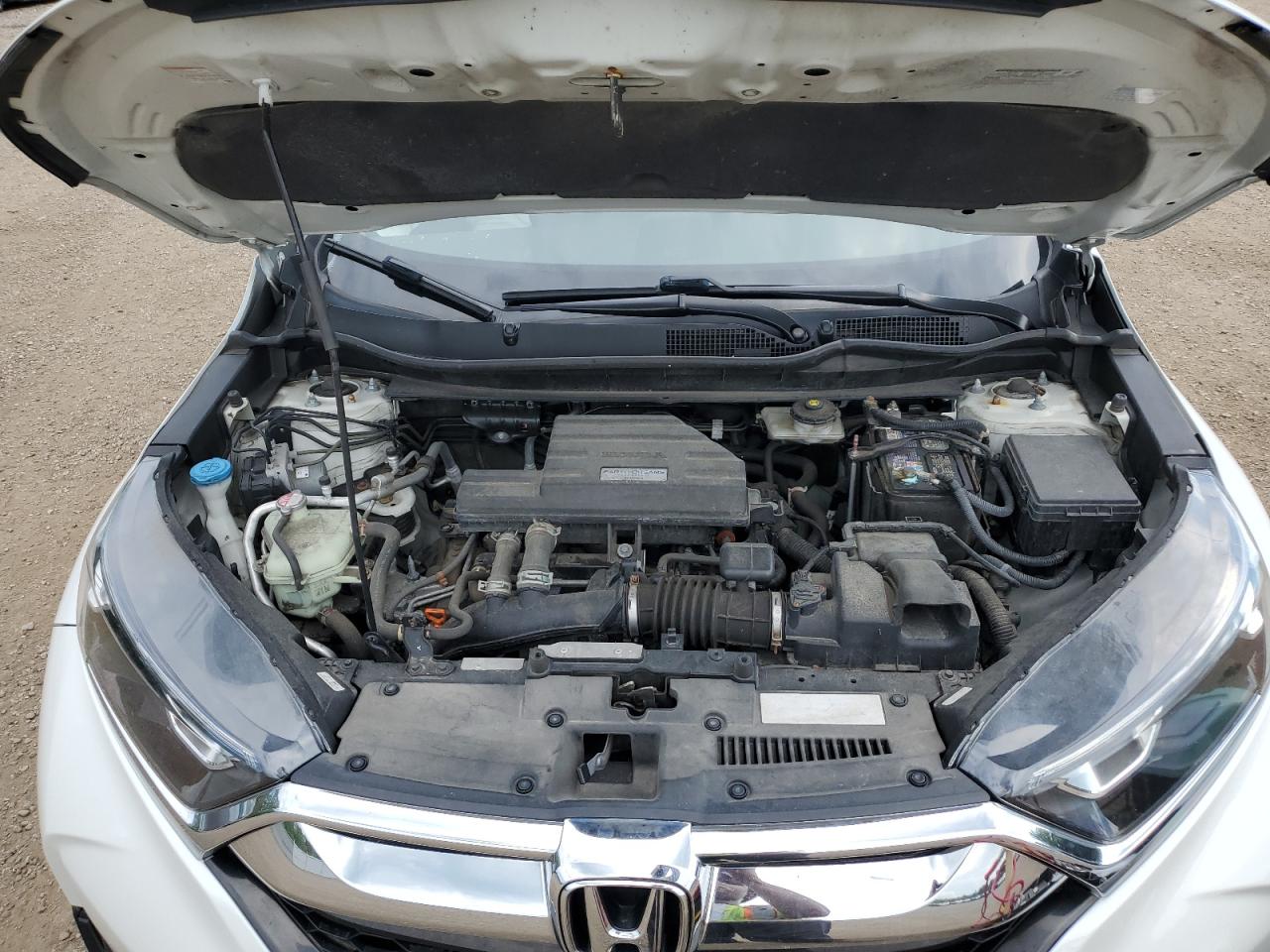 2019 Honda Cr-V Exl VIN: 2HKRW2H81KH631583 Lot: 59536534