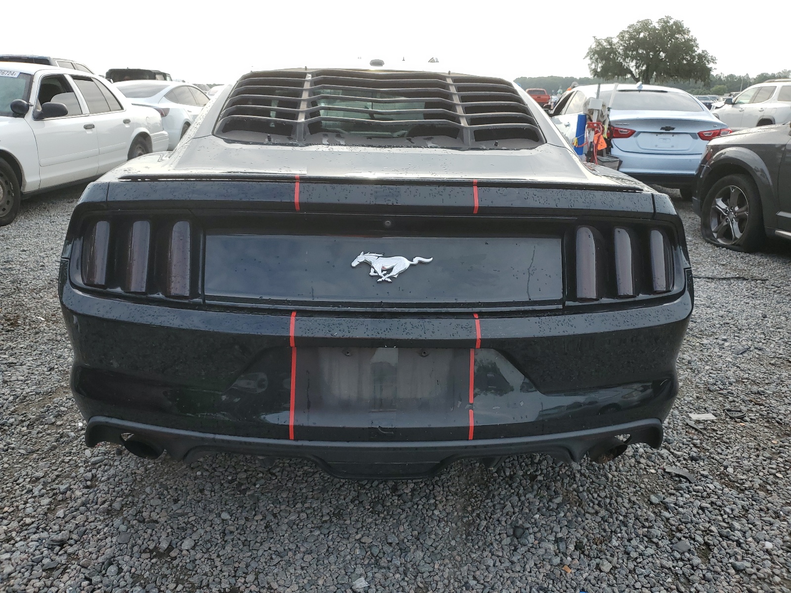 1FA6P8TH0H5312099 2017 Ford Mustang