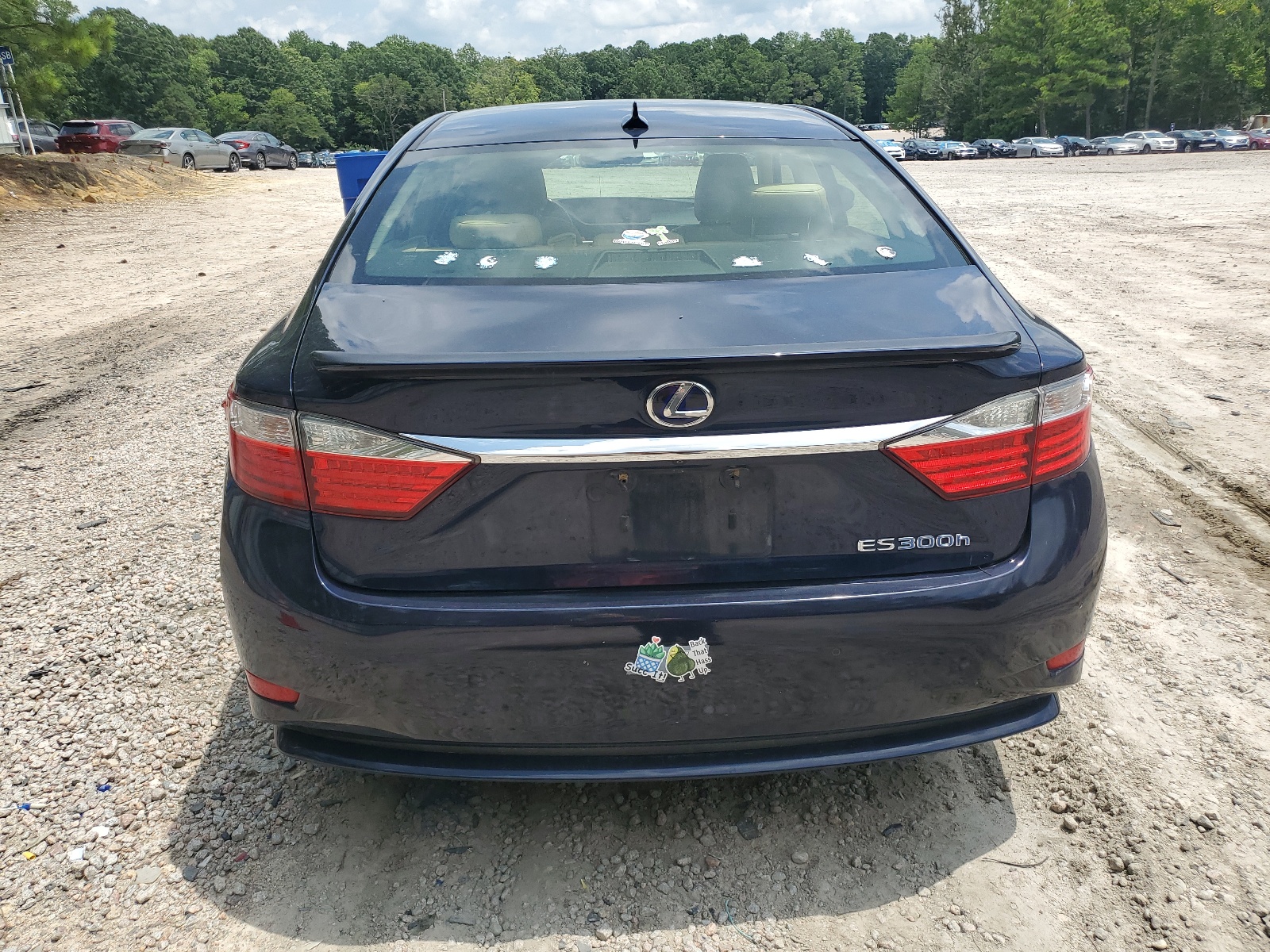 JTHBW1GG7D2021596 2013 Lexus Es 300H