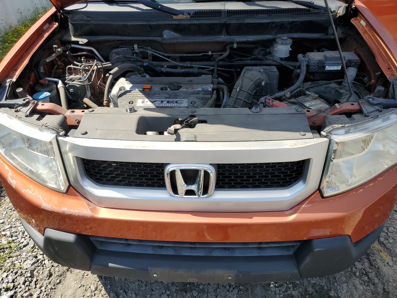 5J6YH2H79BL005797 2011 Honda Element Ex