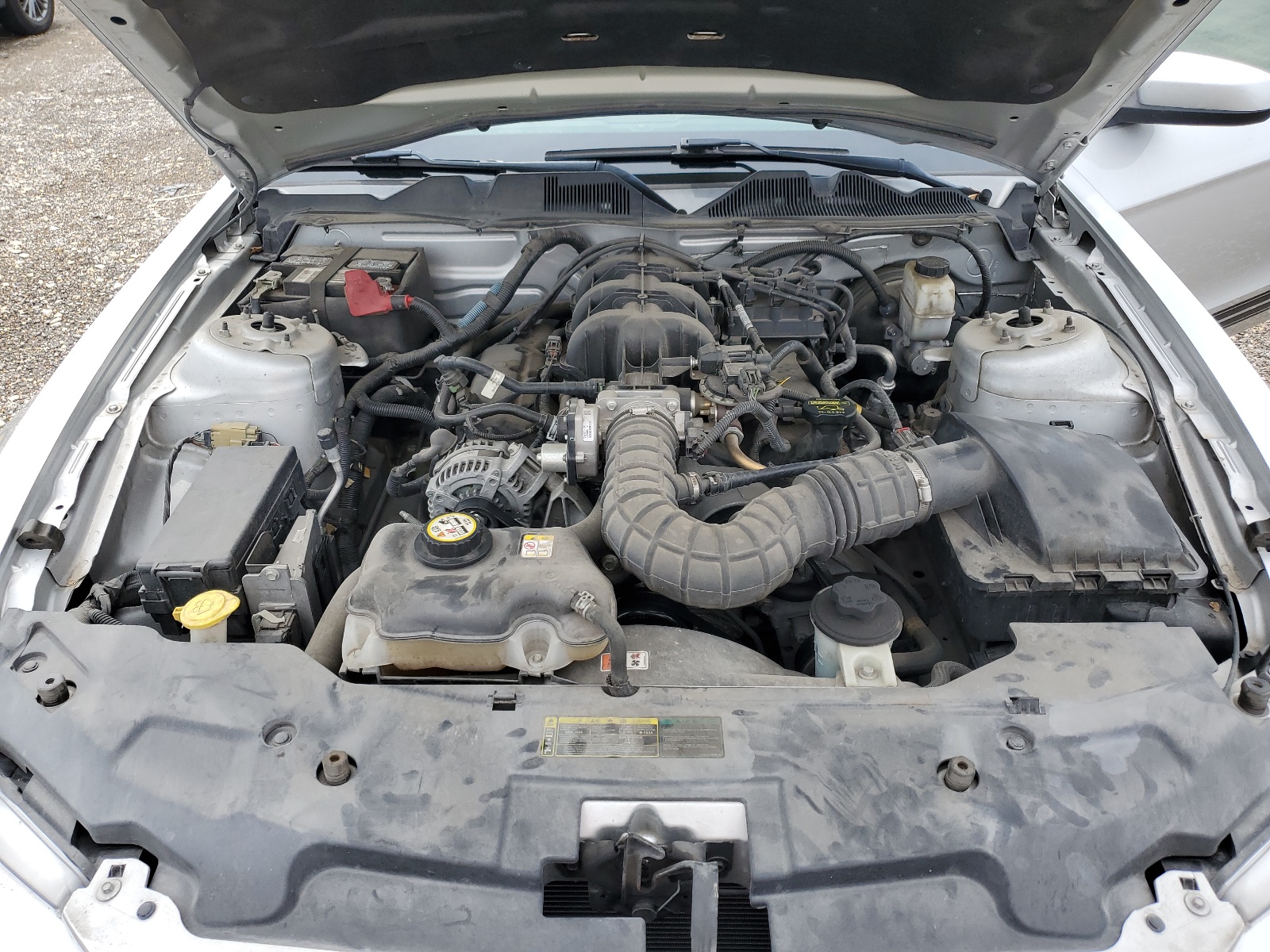 1ZVBP8AN2A5123488 2010 Ford Mustang