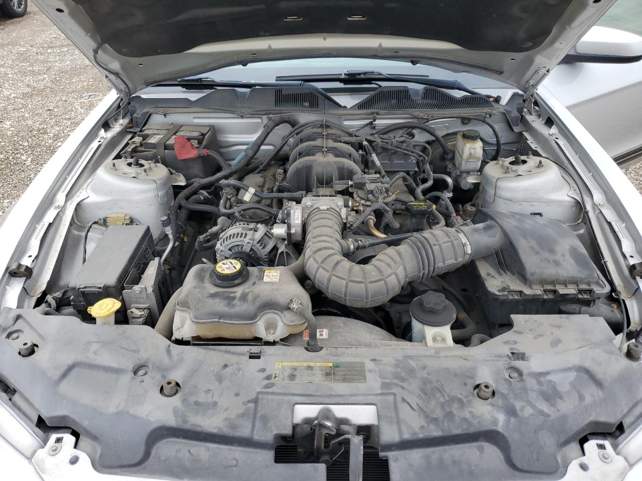 2010 Ford Mustang VIN: 1ZVBP8AN2A5123488 Lot: 62940034