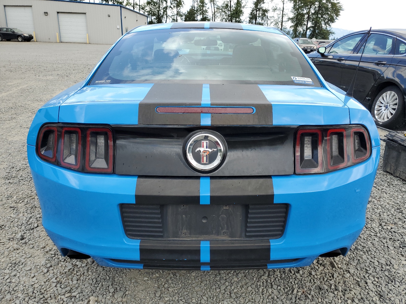 1ZVBP8AM8D5260009 2013 Ford Mustang