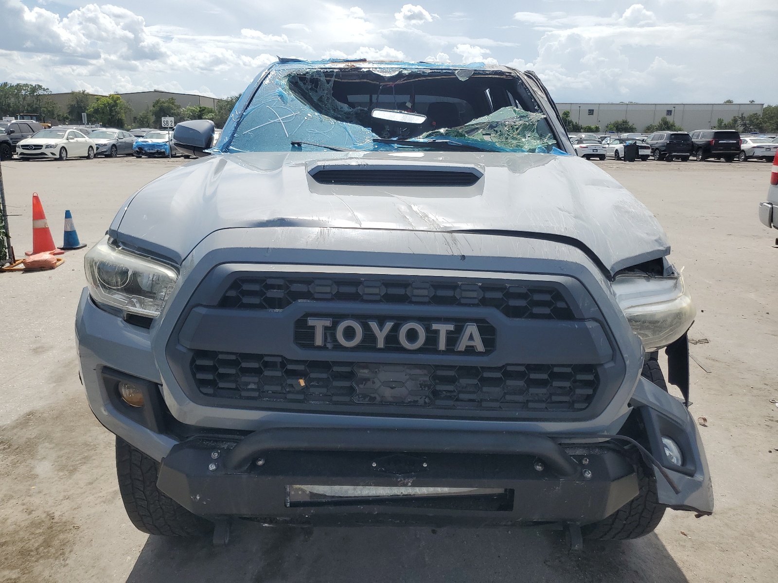 2019 Toyota Tacoma Double Cab vin: 5TFAZ5CN3KX079737