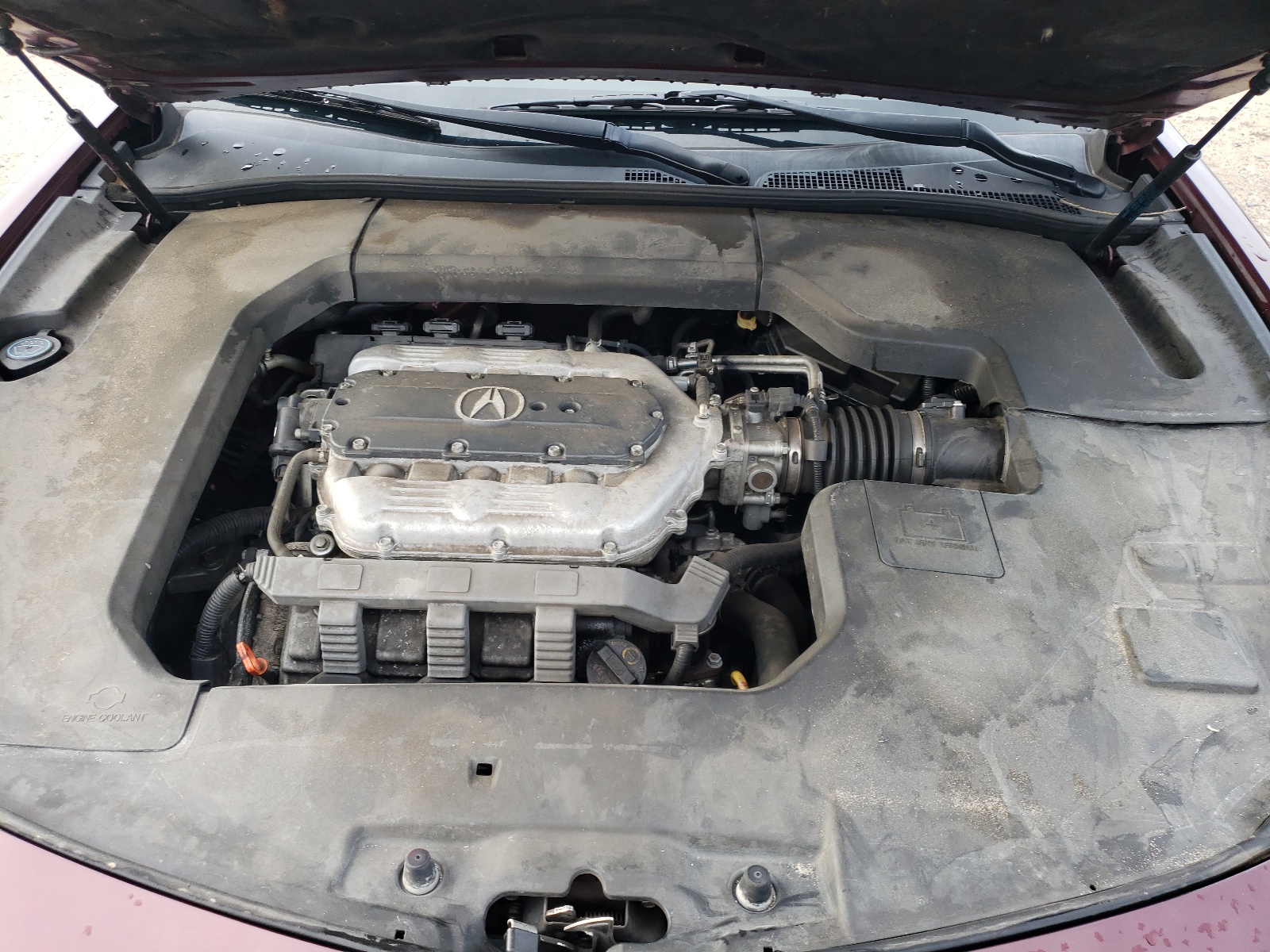 19UUA8F28DA017460 2013 Acura Tl