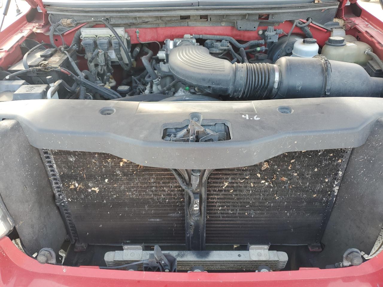 2005 Ford F150 VIN: 1FTRX12WX5NB53831 Lot: 61613814