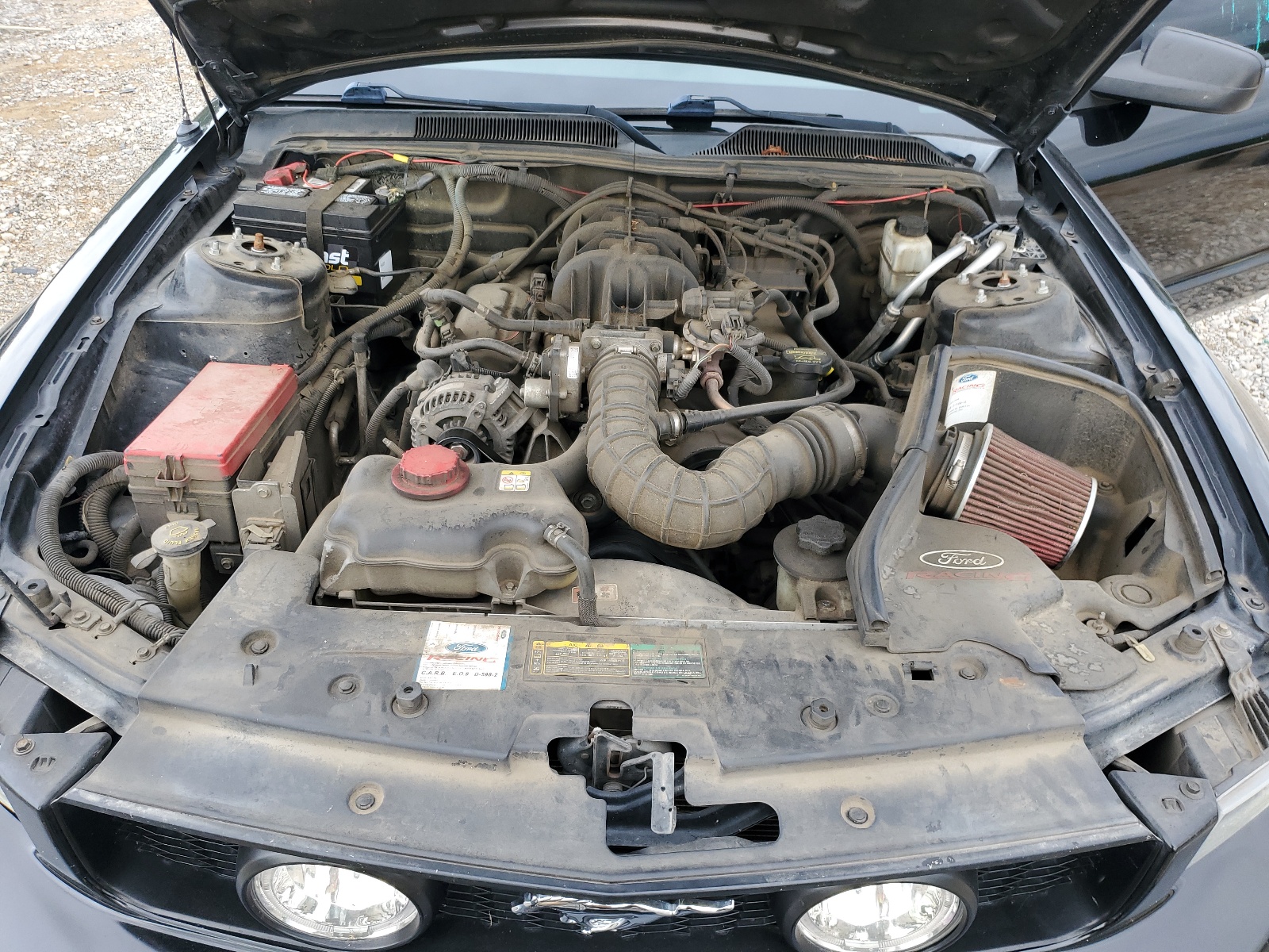 1ZVHT80N095131253 2009 Ford Mustang