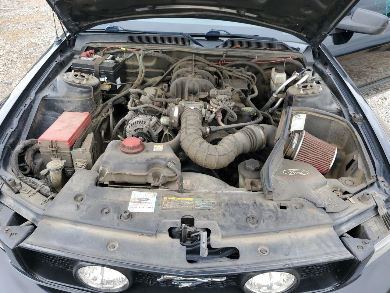 2009 Ford Mustang VIN: 1ZVHT80N095131253 Lot: 63529044