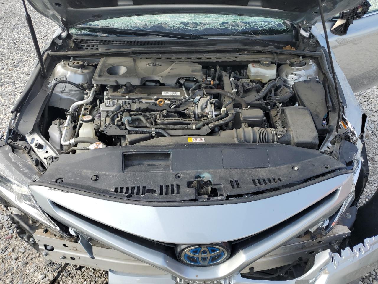 4T1G31AK9LU543920 2020 Toyota Camry Se