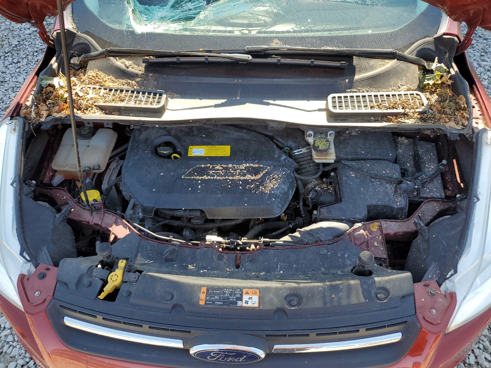 1FMCU9GX6FUA75100 2015 Ford Escape Se