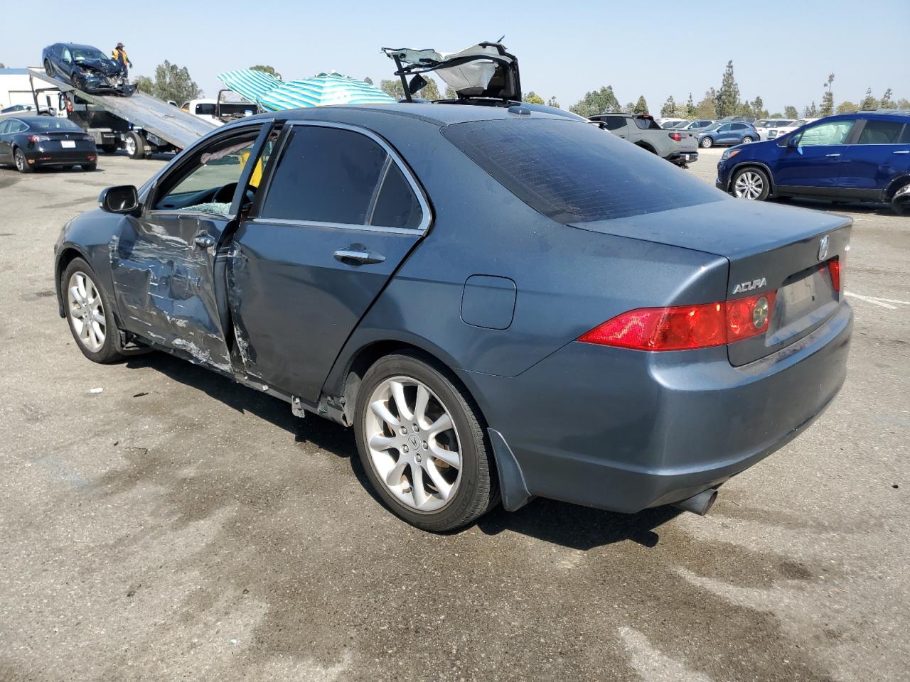 2006 Acura Tsx VIN: JH4CL96976C038250 Lot: 62554764