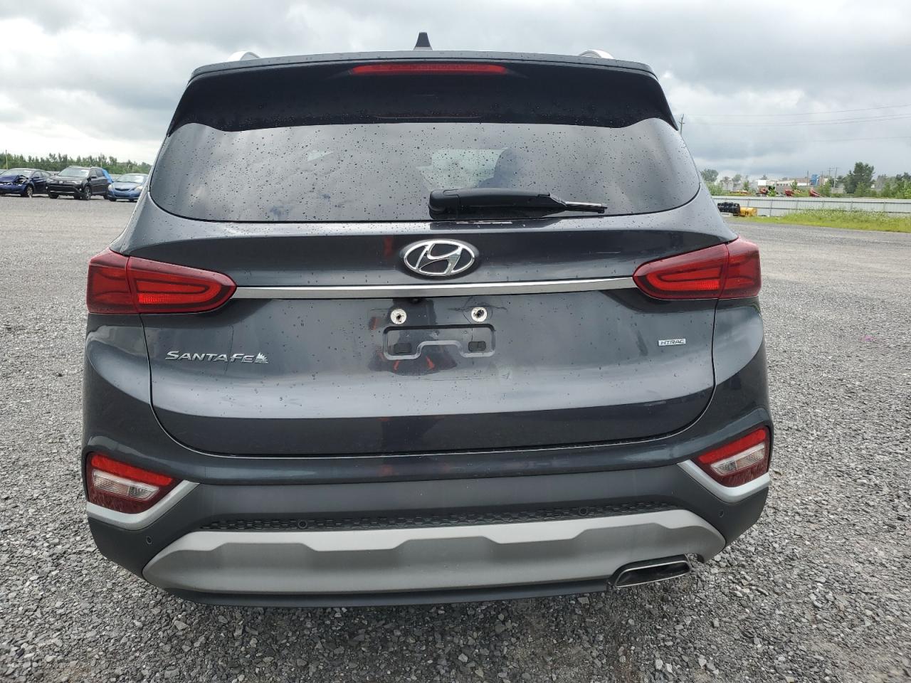 2020 Hyundai Santa Fe Sel VIN: 5NMS3CAD4LH264183 Lot: 65409234