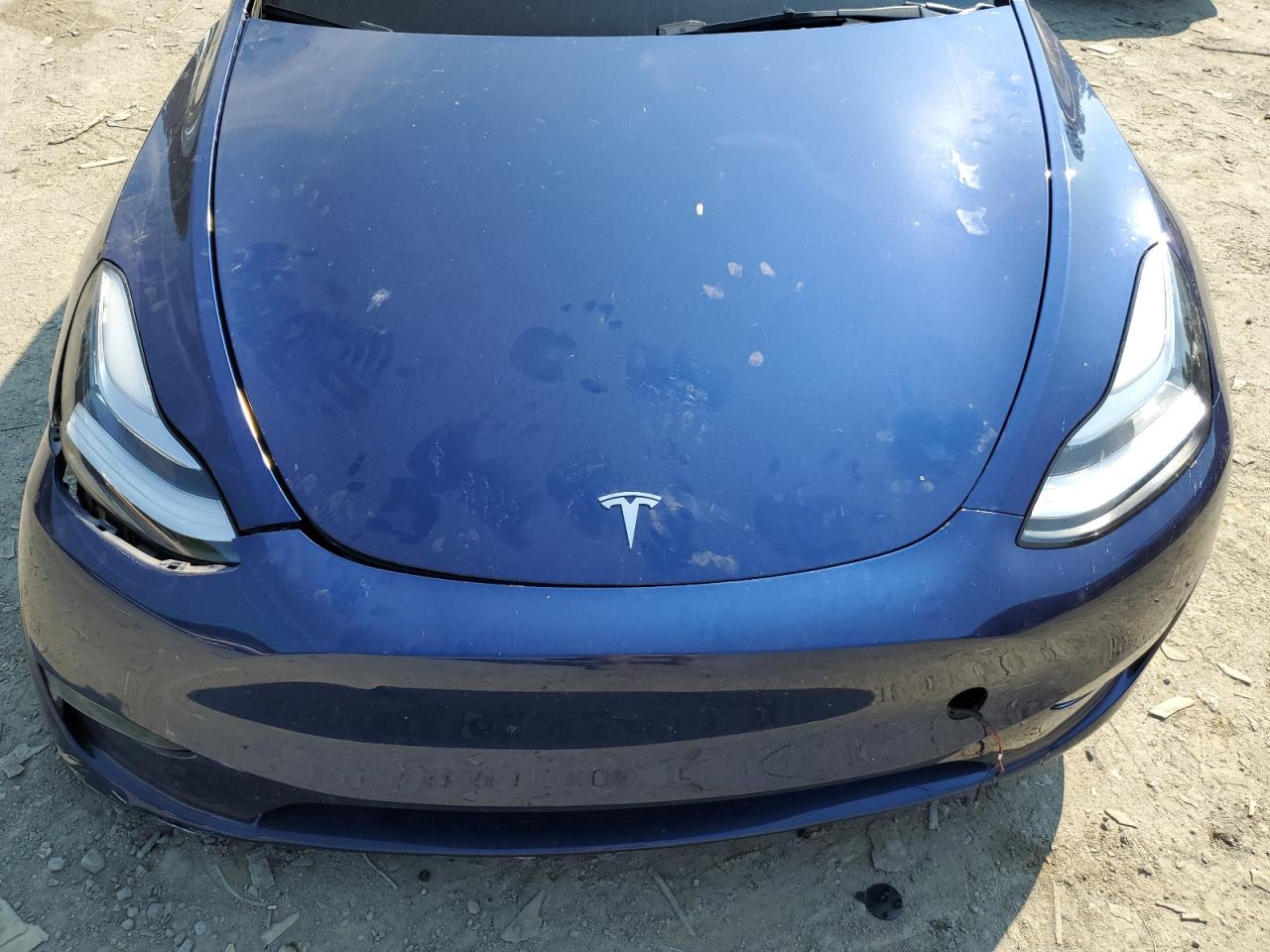 2023 Tesla Model Y VIN: 7SAYGDEE1PA026273 Lot: 63076924