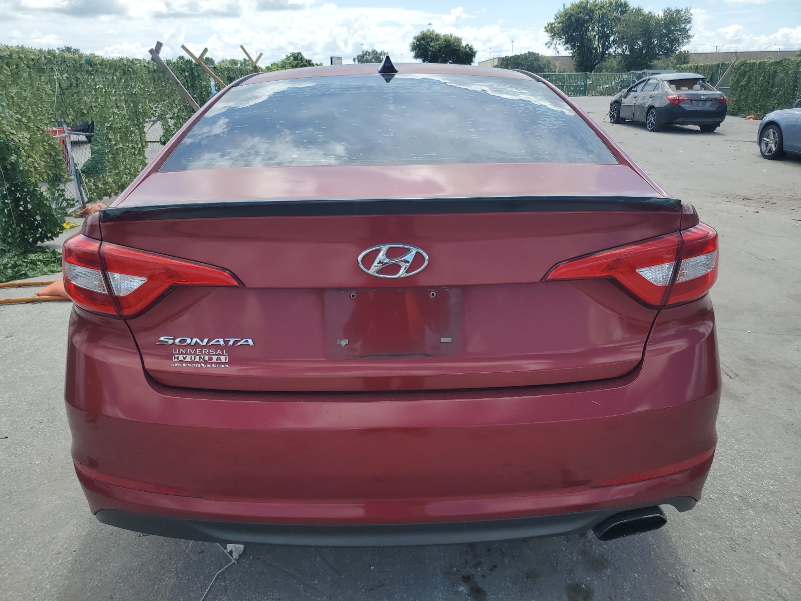5NPE24AF8GH406034 2016 Hyundai Sonata Se