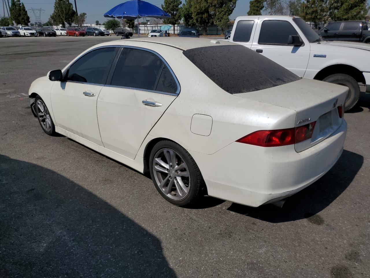 2006 Acura Tsx VIN: JH4CL96996C036550 Lot: 64190754