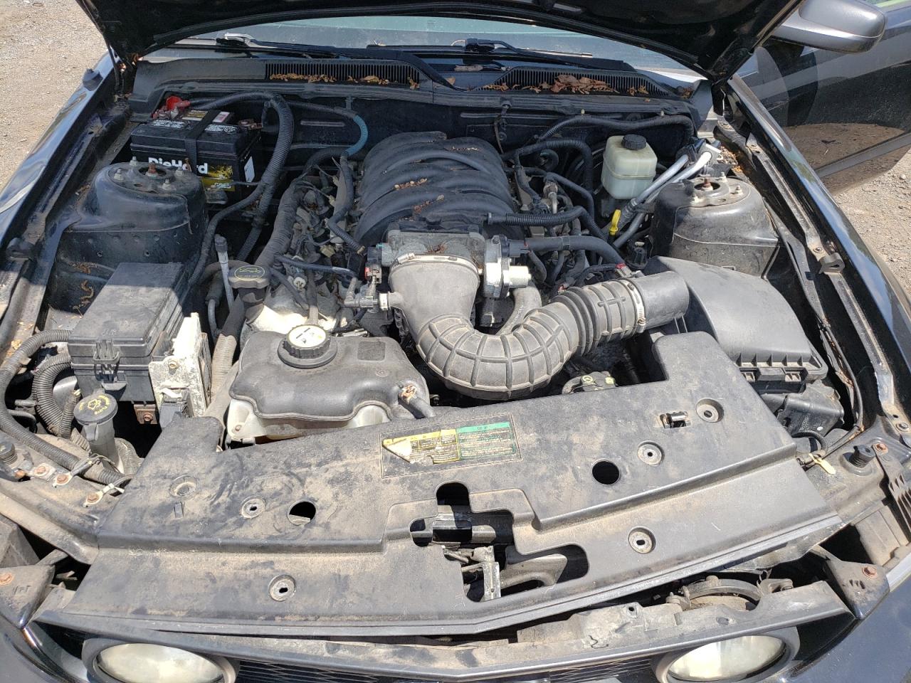 2007 Ford Mustang Gt VIN: 1ZVFT82H975311360 Lot: 64183774