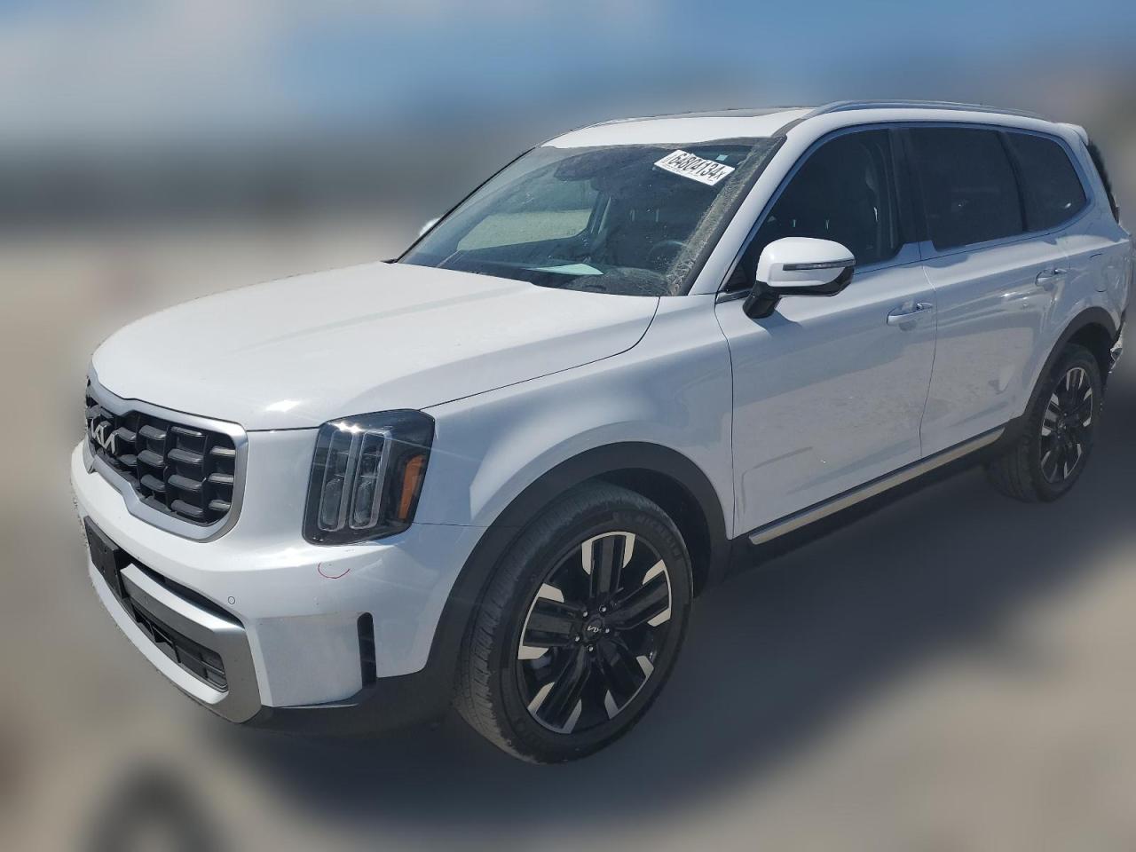2023 Kia Telluride Sx VIN: 5XYP5DGC7PG409446 Lot: 64804134