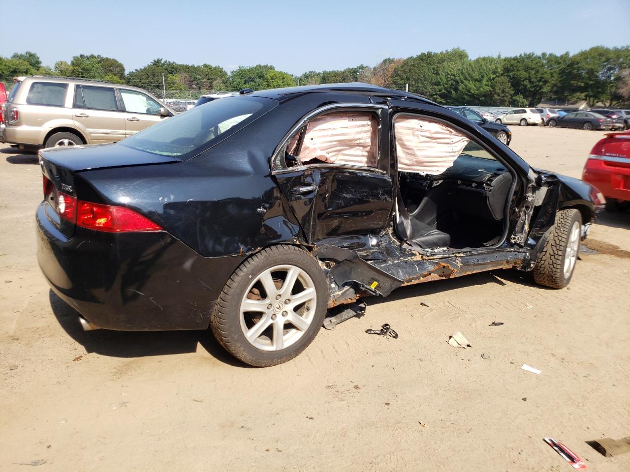 2005 Acura Tsx VIN: JH4CL96905C034541 Lot: 62487434