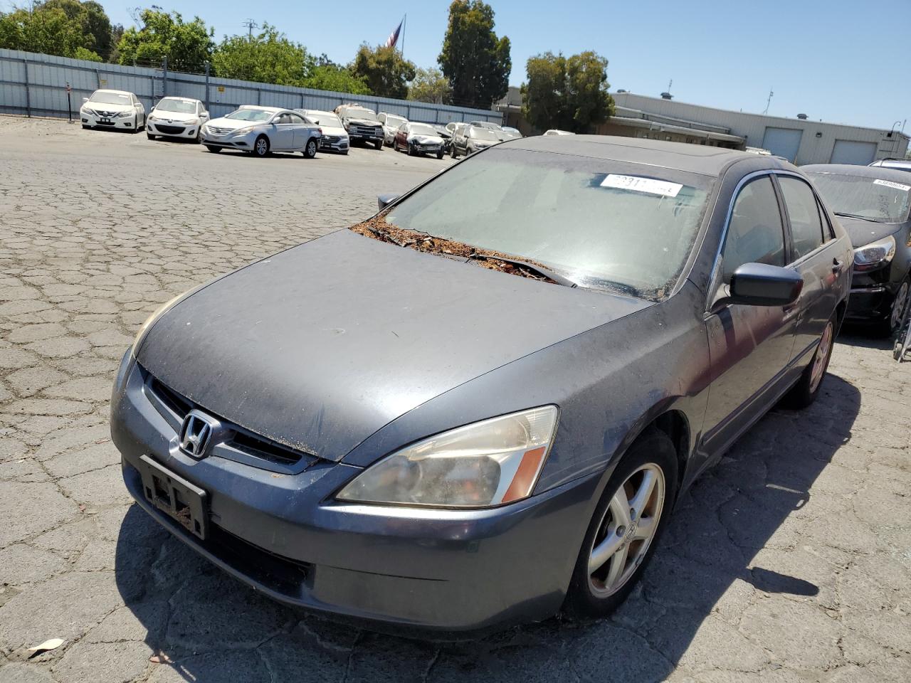 JHMCM56683C081406 2003 Honda Accord Ex