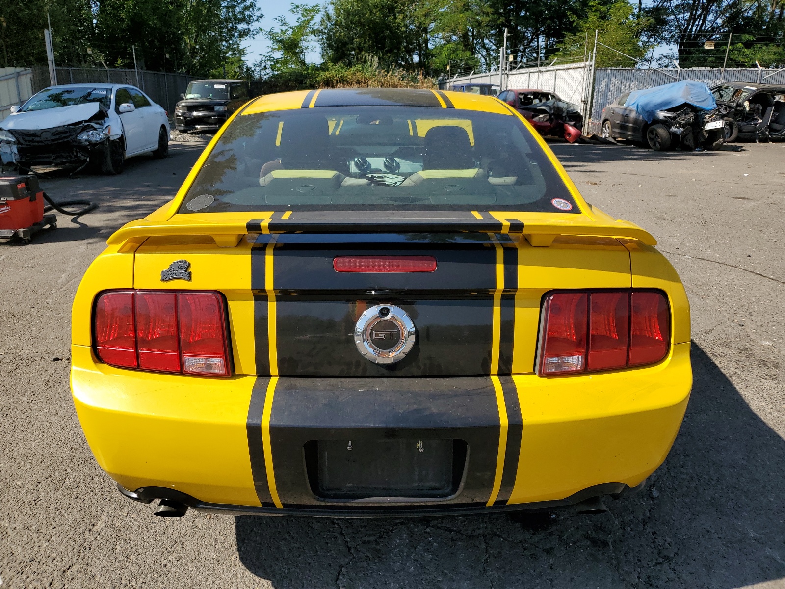 1ZVHT82H165101150 2006 Ford Mustang Gt