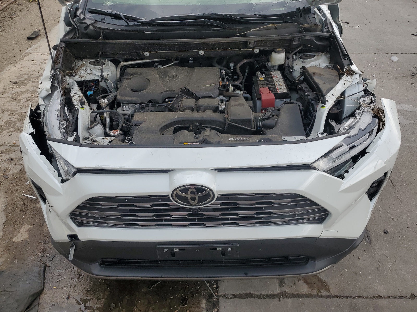 JTMN1RFV2PD094802 2023 Toyota Rav4 Limited