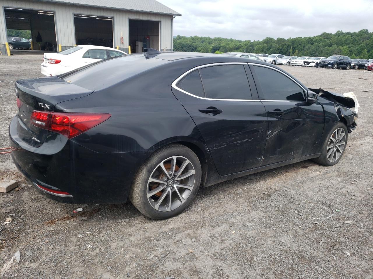 2015 Acura Tlx Tech VIN: 19UUB3F5XFA008384 Lot: 64075444