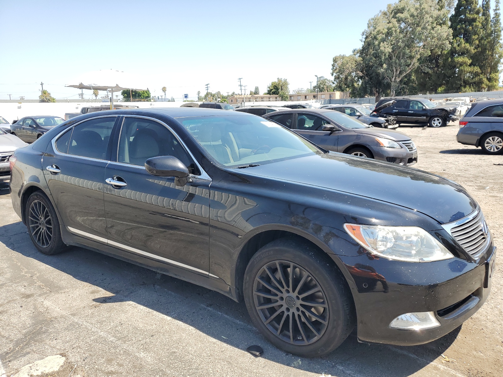 JTHBL46F295086137 2009 Lexus Ls 460