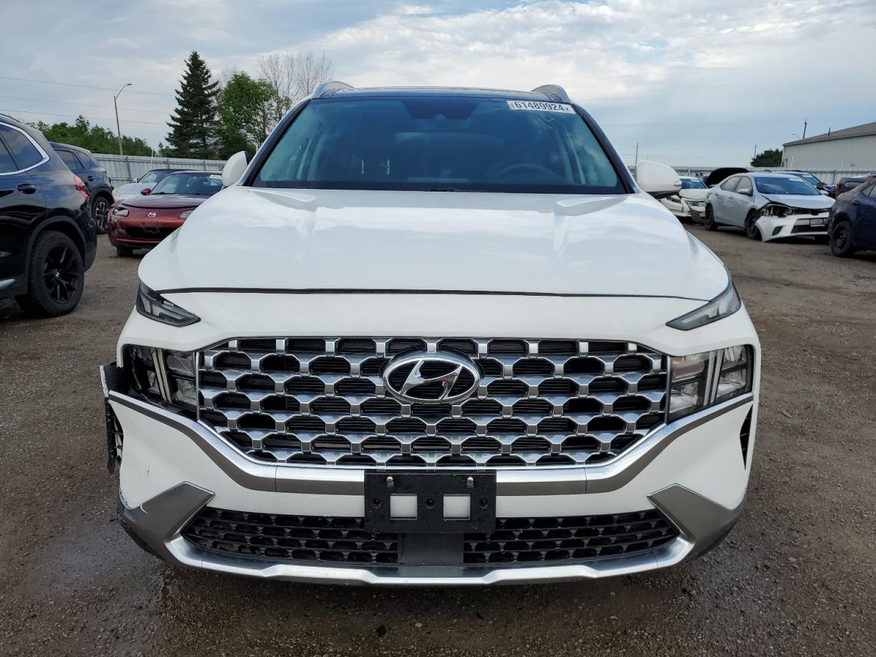 2023 Hyundai Santa Fe Sel Premium VIN: 5NMS3DAJ6PH646149 Lot: 61489924