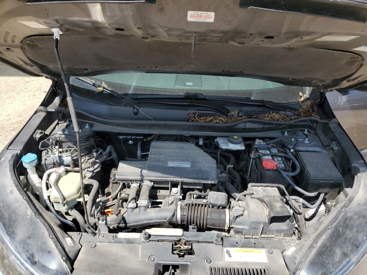 2019 Honda Cr-V Ex VIN: 5J6RW1H58KA009970 Lot: 63472904